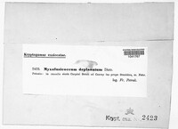 Image Associated With the Occurence